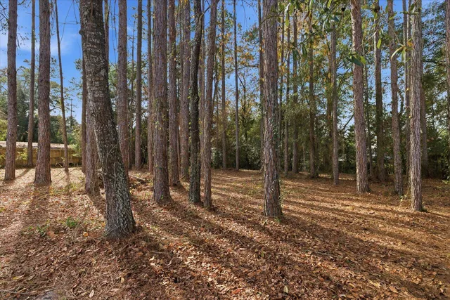$250,000 | 199 Foxrun Circle, Crawfordville, FL 32327