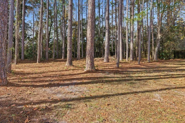 $250,000 | 199 Foxrun Circle, Crawfordville, FL 32327