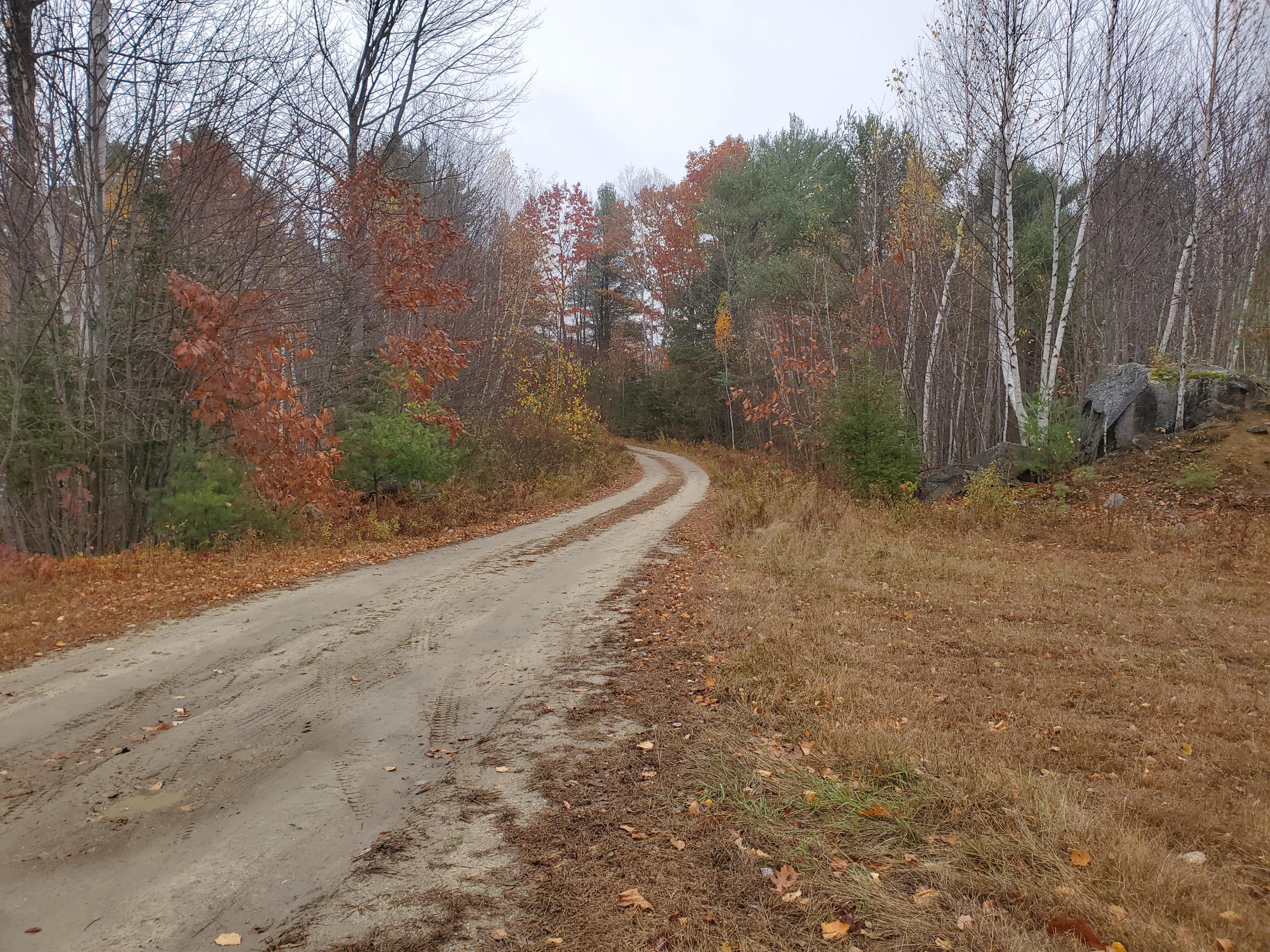 Tbd Tbd Round The Pond & Upton Brother Roads Norway, ME 04268 - Photo 8 of 11 20201028_143642