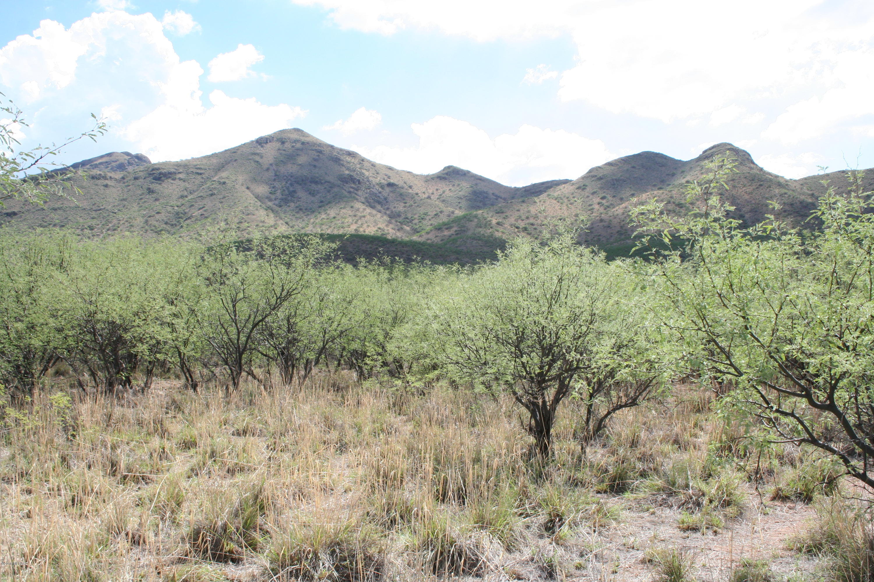 1238 Morning Star Drive, Unit 80 Rio Rico, AZ 85648 - Photo 9 of 21 Gallery Image 9