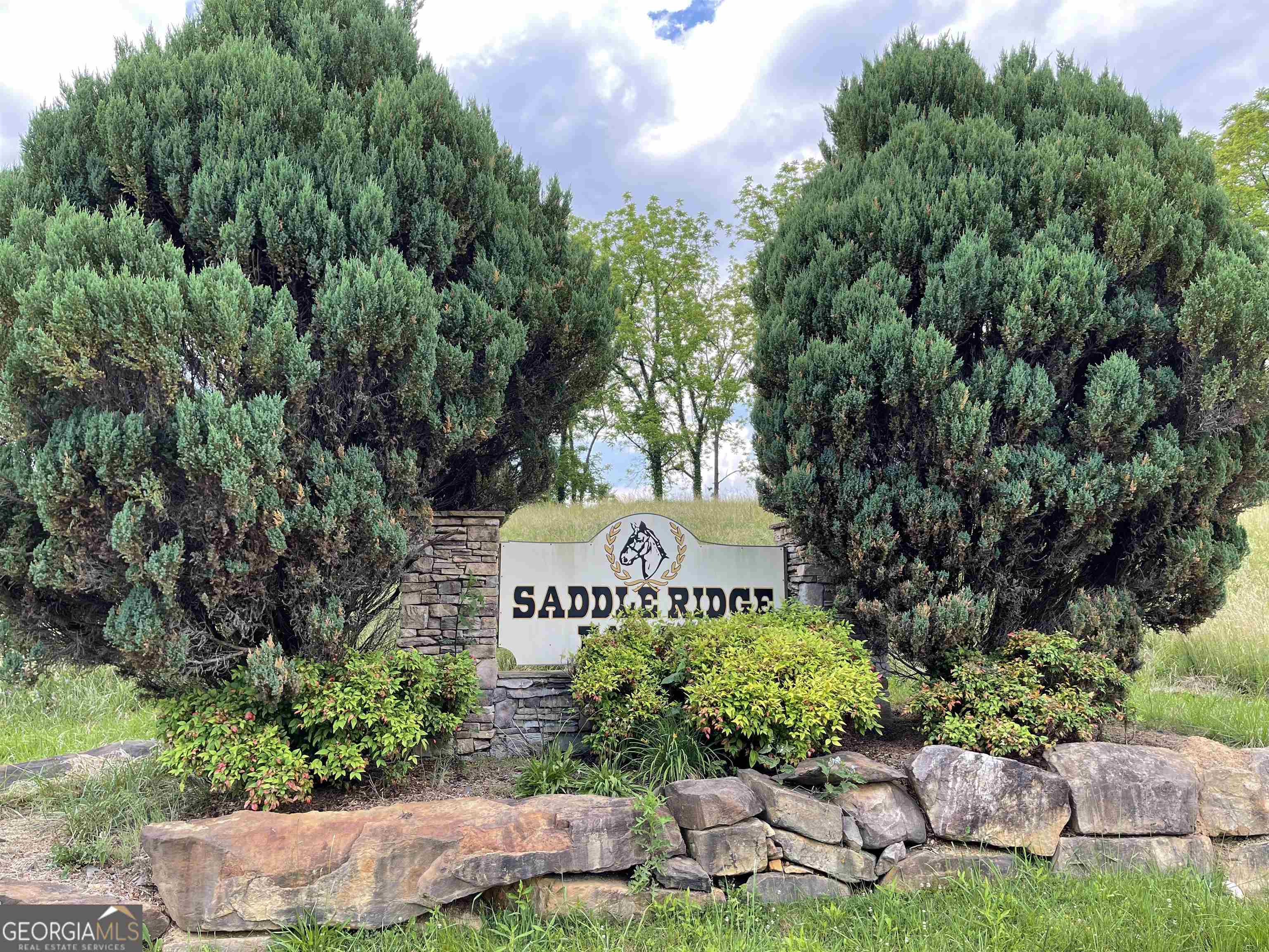 14 B Saddle Ridge Farms Warne, NC 28909 - Photo 1 of 28 a sign that is sitting in a garden