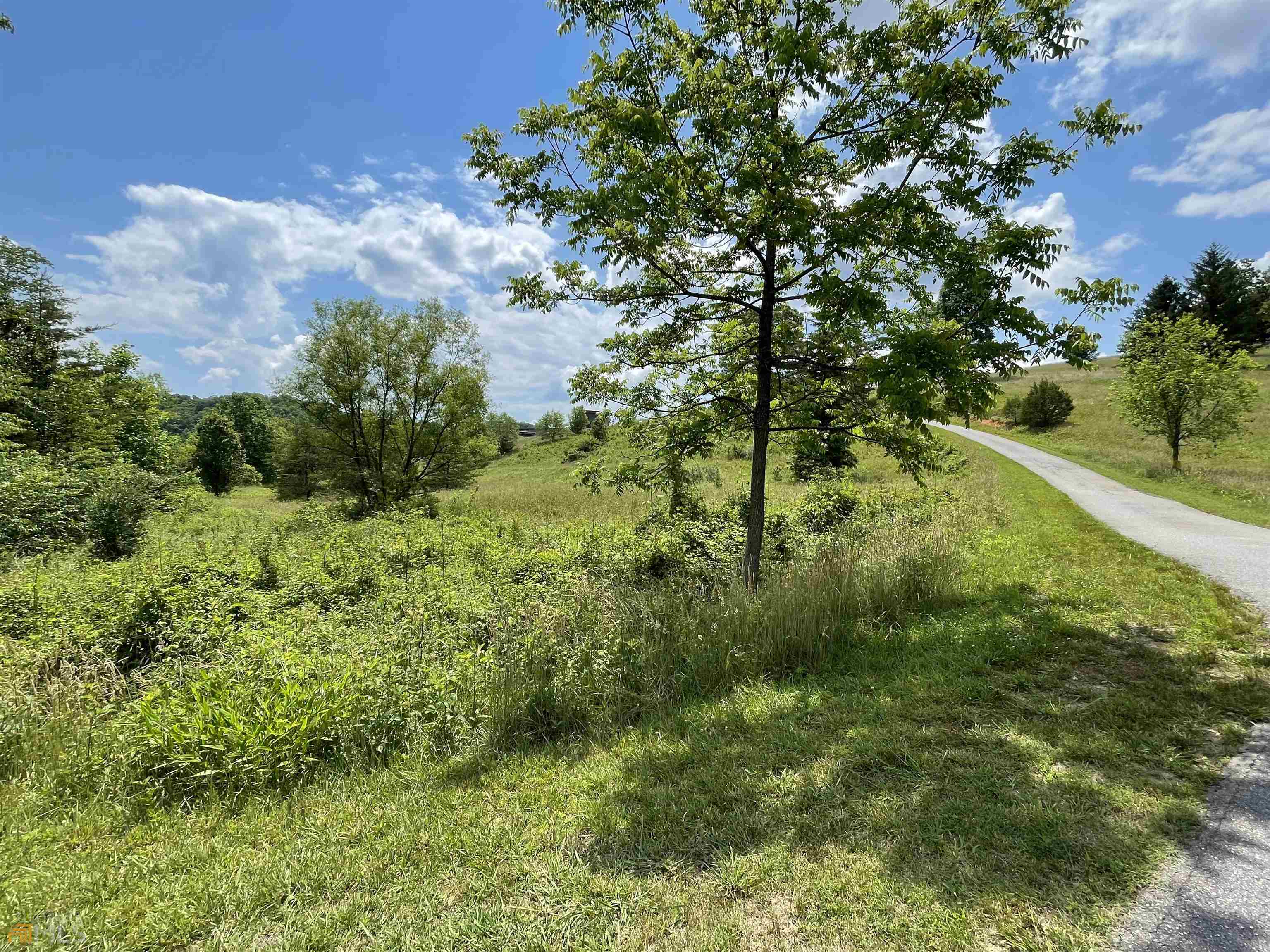14 B Saddle Ridge Farms Warne, NC 28909 - Photo 11 of 28 a view of a lush green space