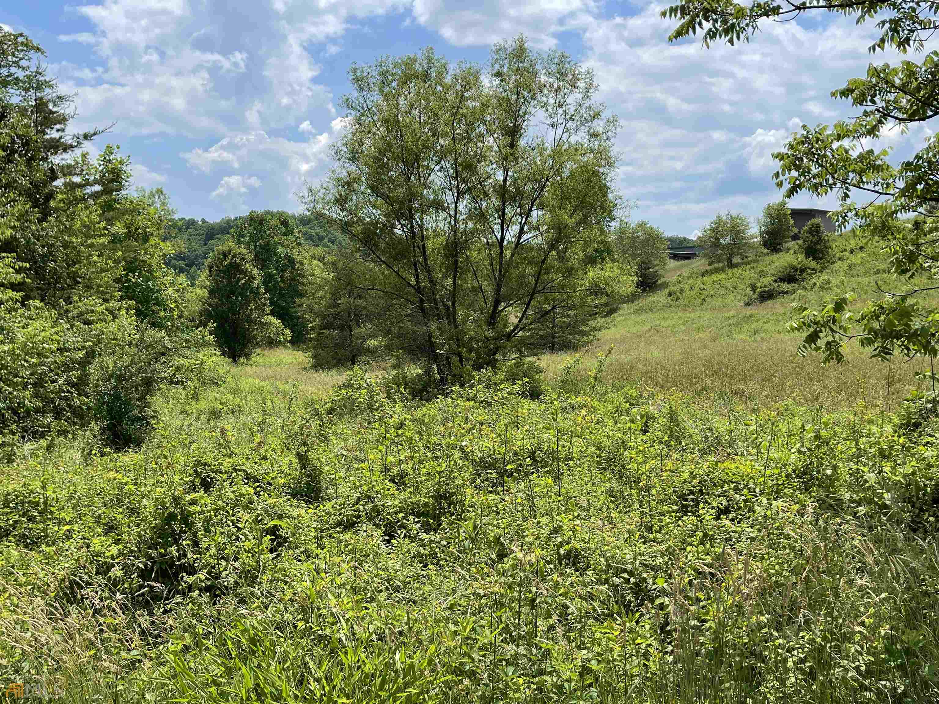 14 B Saddle Ridge Farms Warne, NC 28909 - Photo 12 of 28 a view of a garden with a building