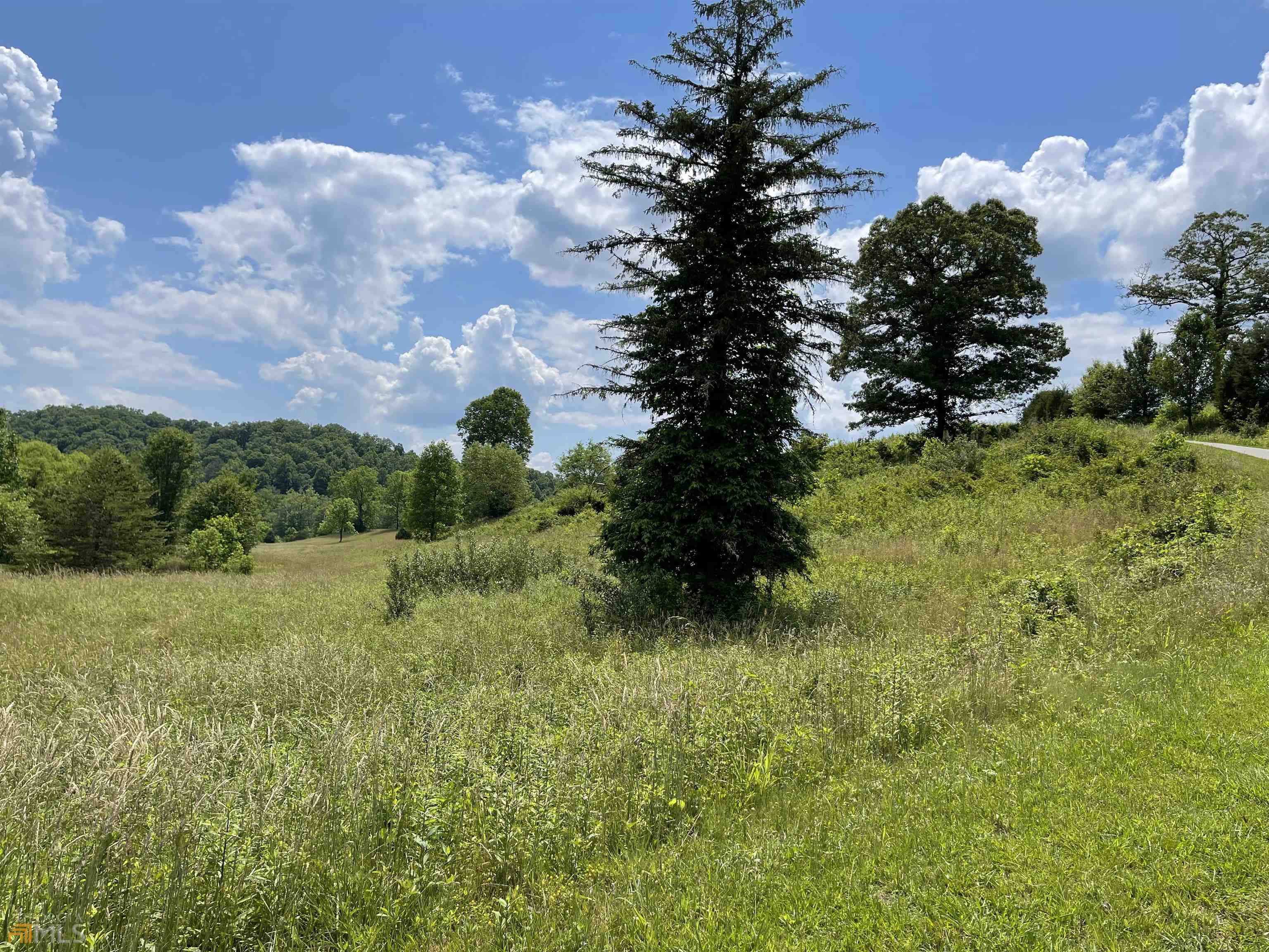 14 B Saddle Ridge Farms Warne, NC 28909 - Photo 14 of 28