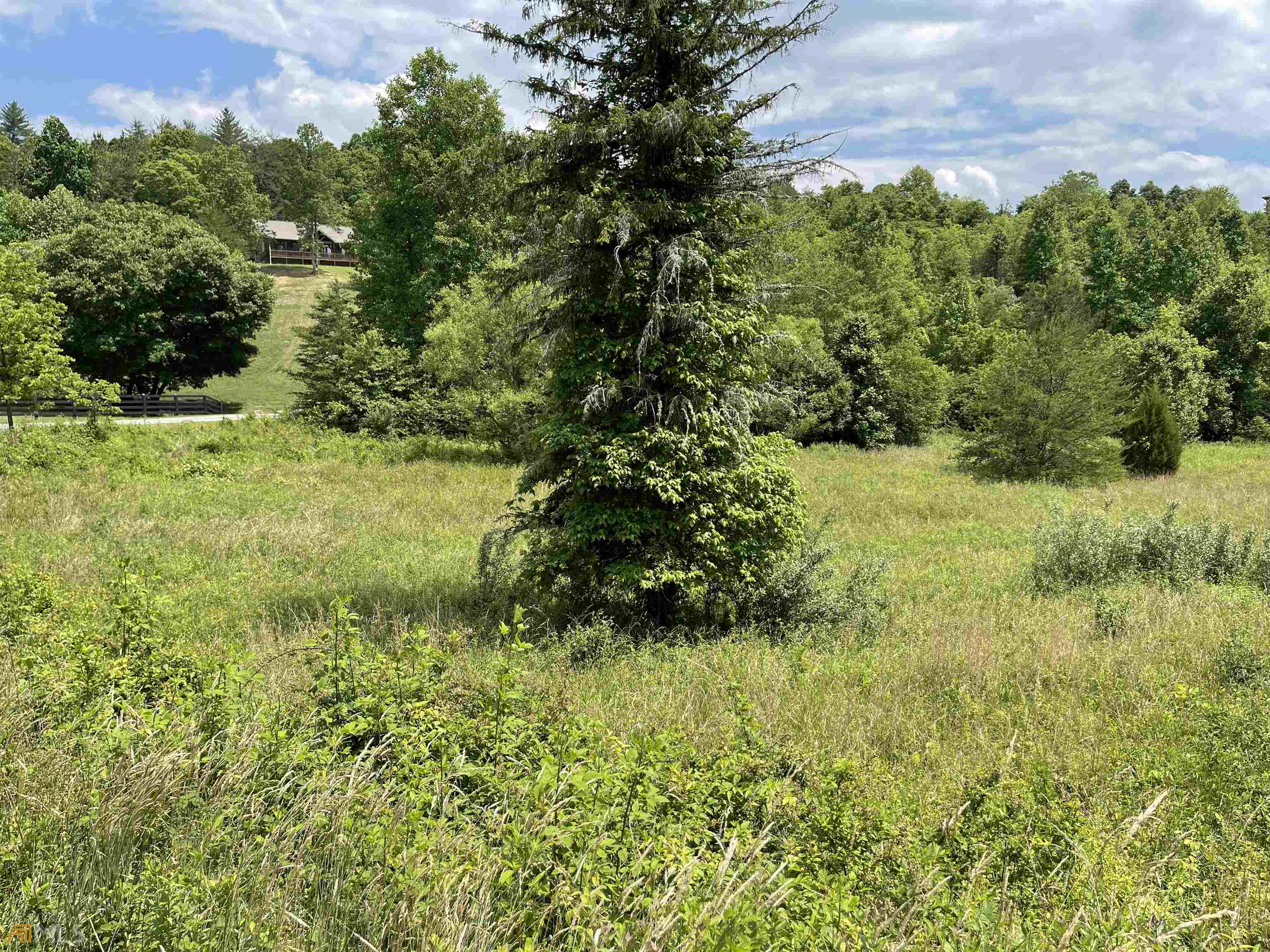 14 B Saddle Ridge Farms Warne, NC 28909 - Photo 15 of 28