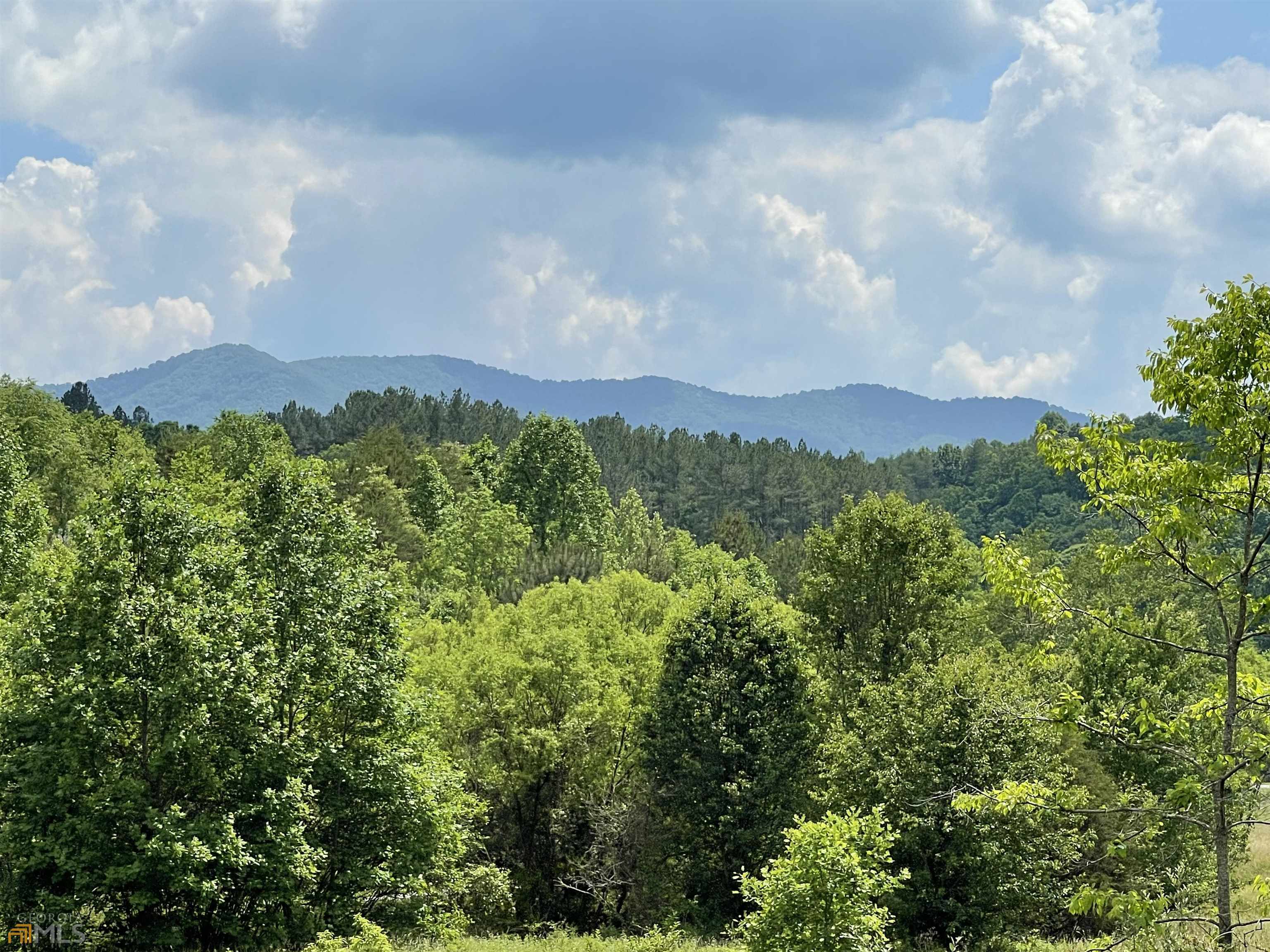 14 B Saddle Ridge Farms Warne, NC 28909 - Photo 18 of 28 a view of a city with lush green forest