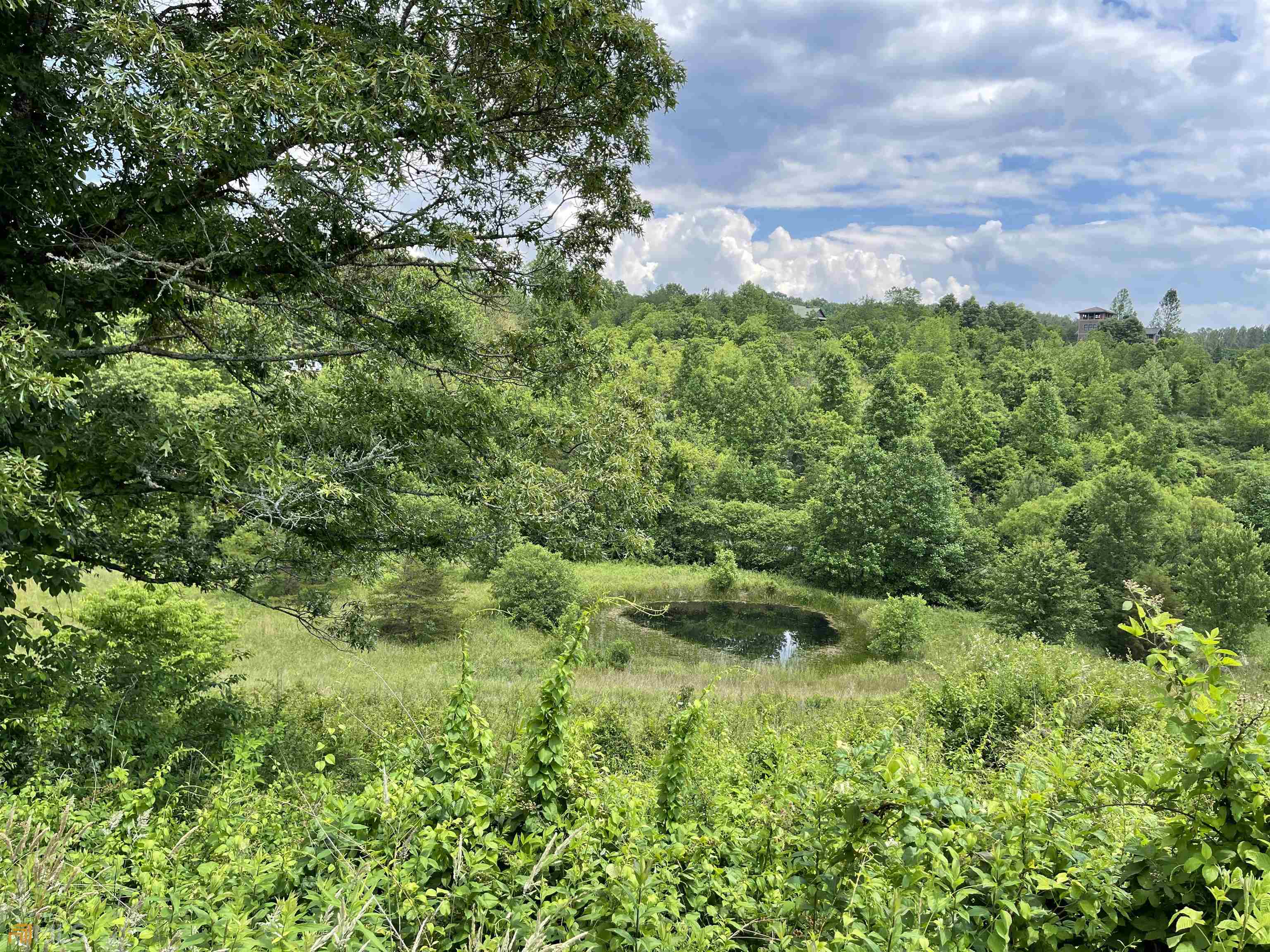 14 B Saddle Ridge Farms Warne, NC 28909 - Photo 19 of 28