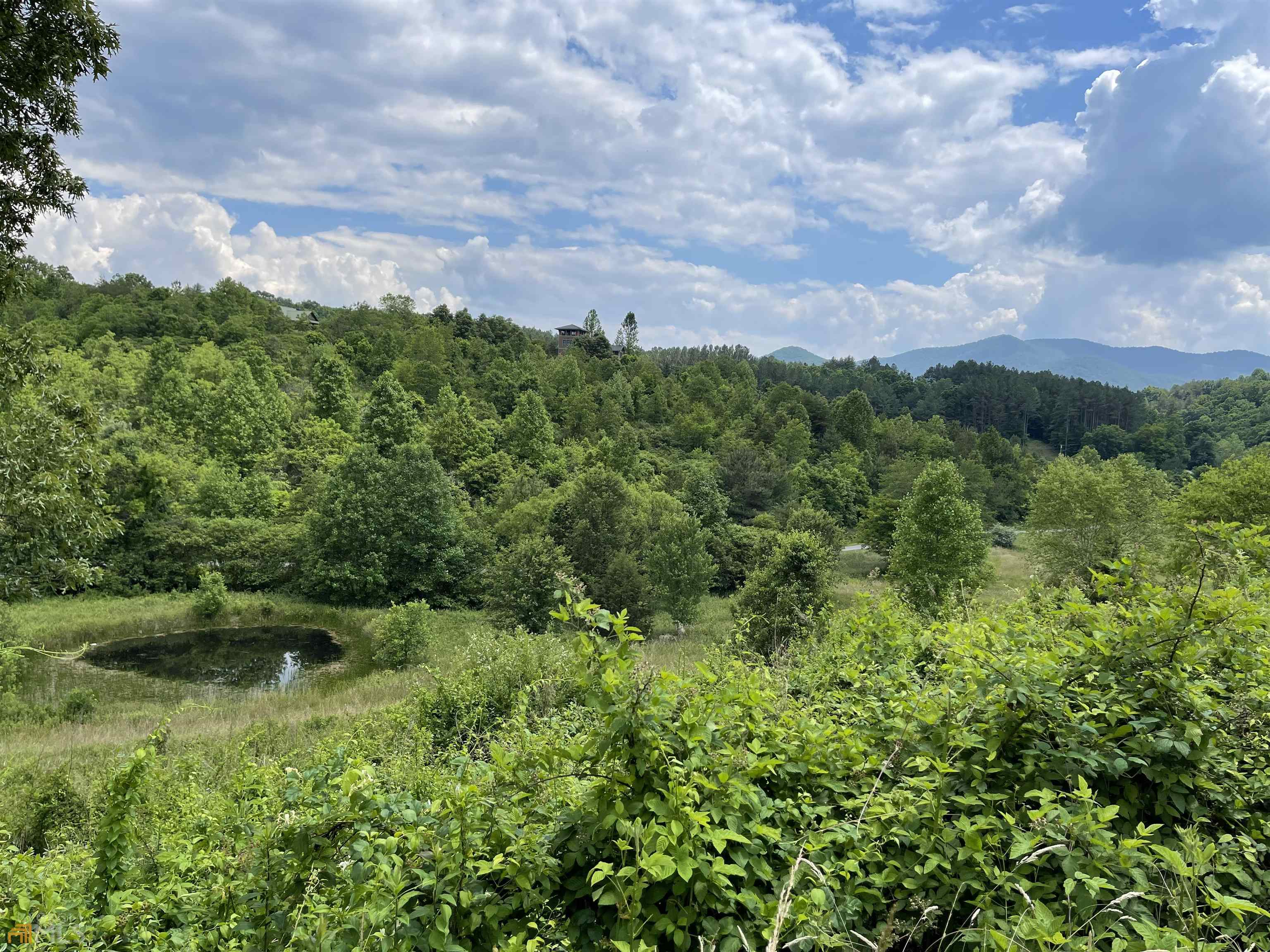 14 B Saddle Ridge Farms Warne, NC 28909 - Photo 20 of 28 a view of a yard