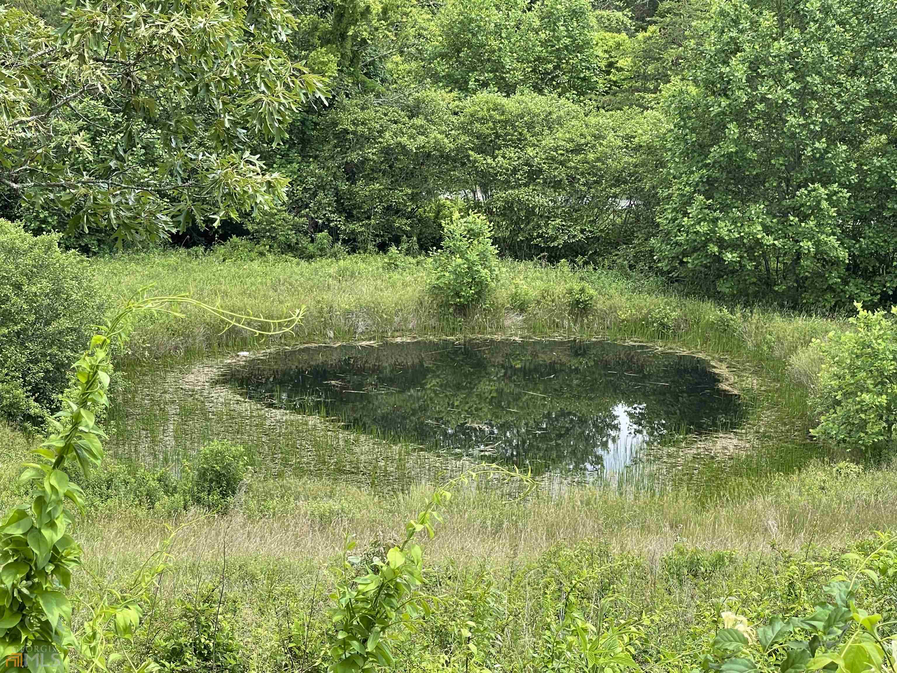 14 B Saddle Ridge Farms Warne, NC 28909 - Photo 22 of 28 a view of a lush green space