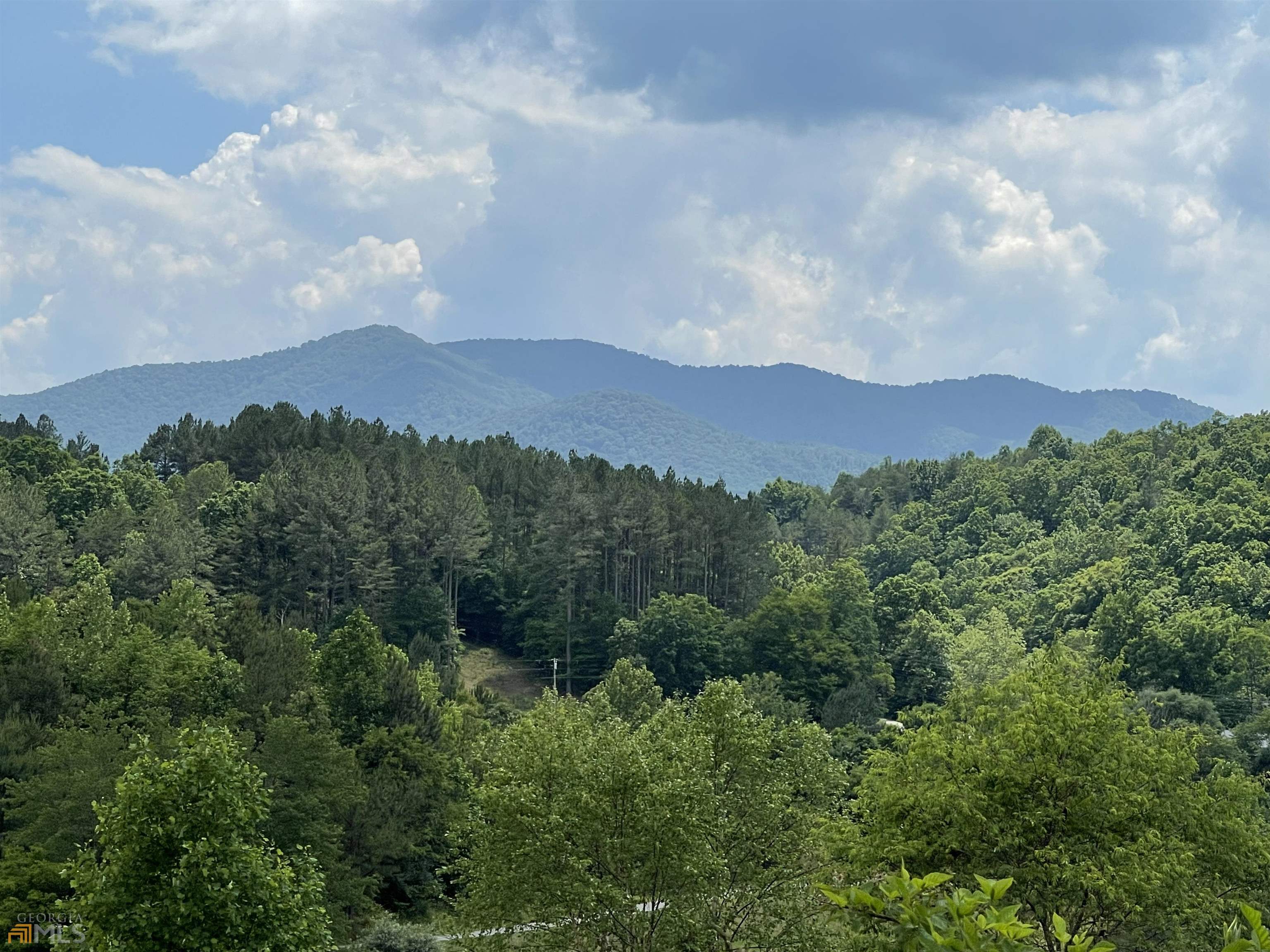 14 B Saddle Ridge Farms Warne, NC 28909 - Photo 23 of 28 an aerial view of houses covered in trees