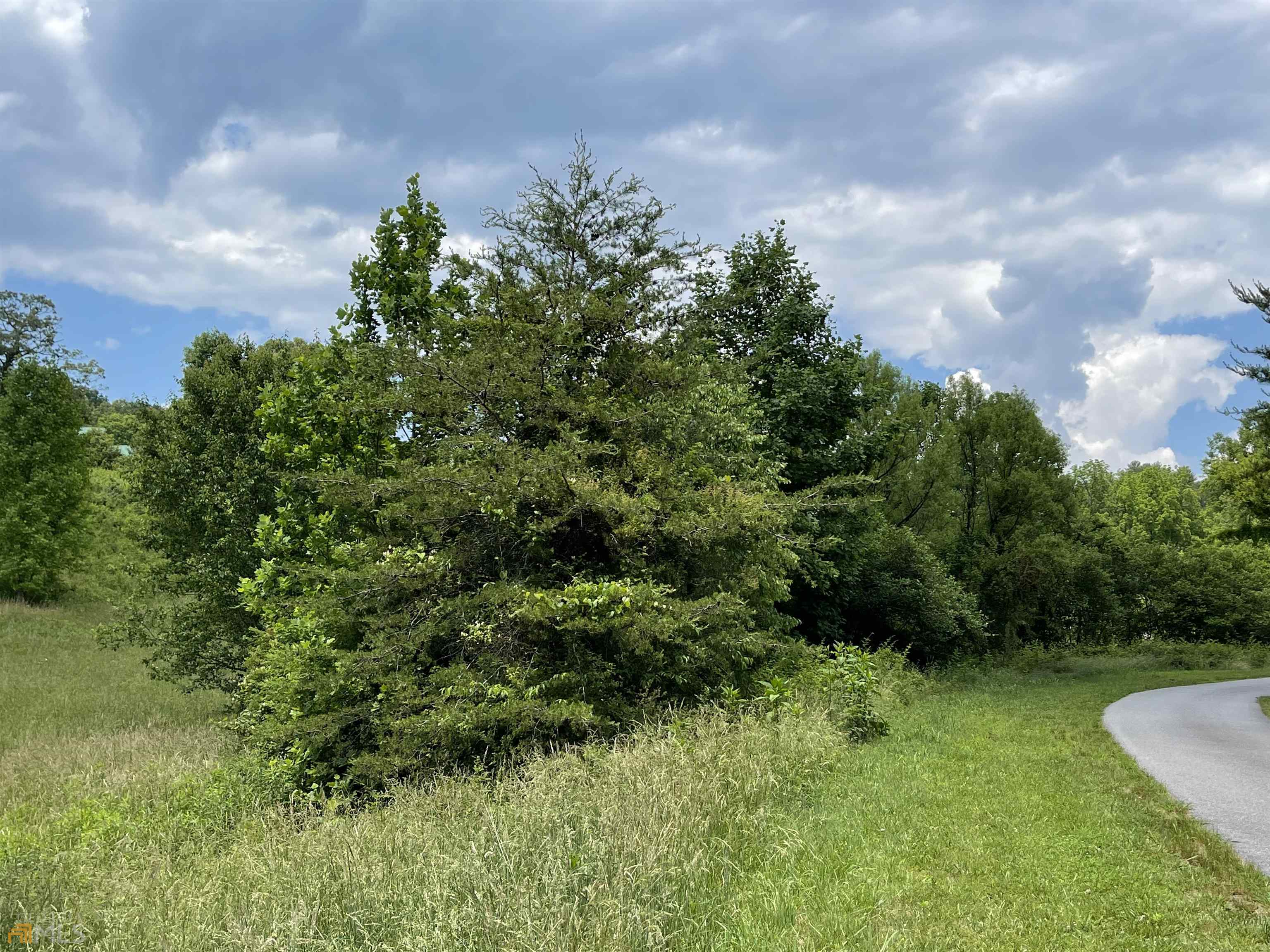 14 B Saddle Ridge Farms Warne, NC 28909 - Photo 3 of 28 a view of a garden with a building in the background
