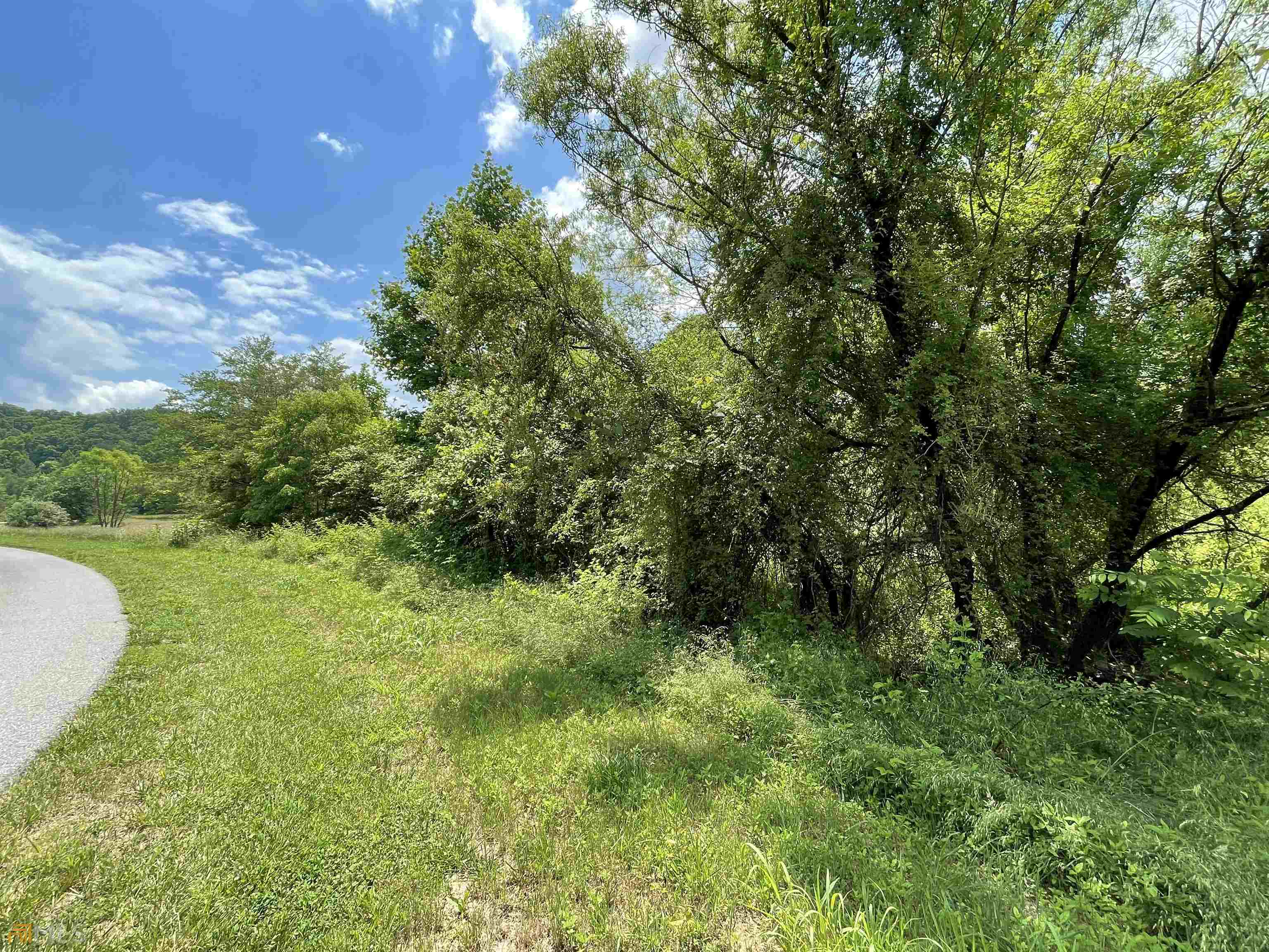 14 B Saddle Ridge Farms Warne, NC 28909 - Photo 4 of 28 a view of a garden