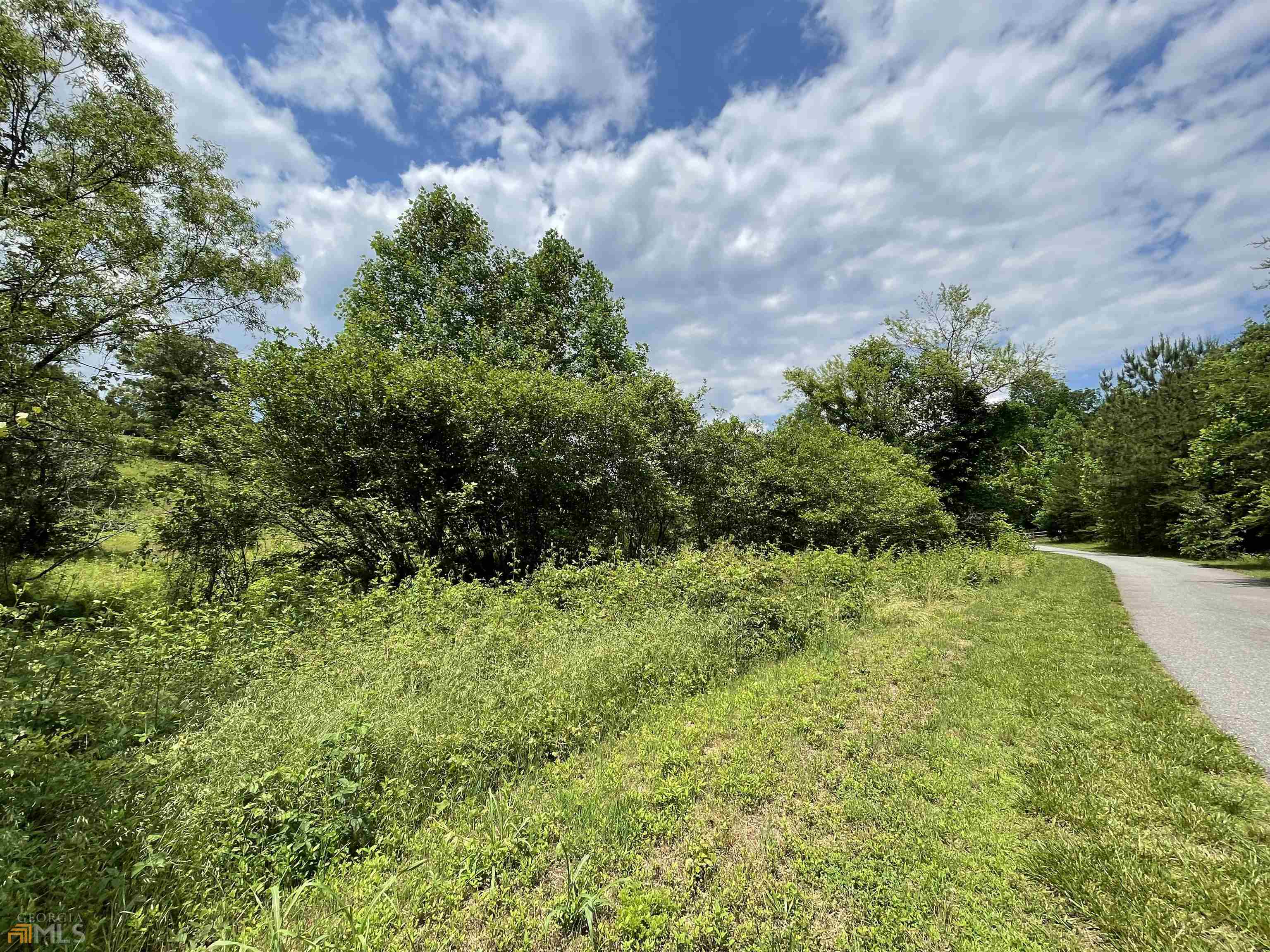 14 B Saddle Ridge Farms Warne, NC 28909 - Photo 6 of 28 a view of a garden