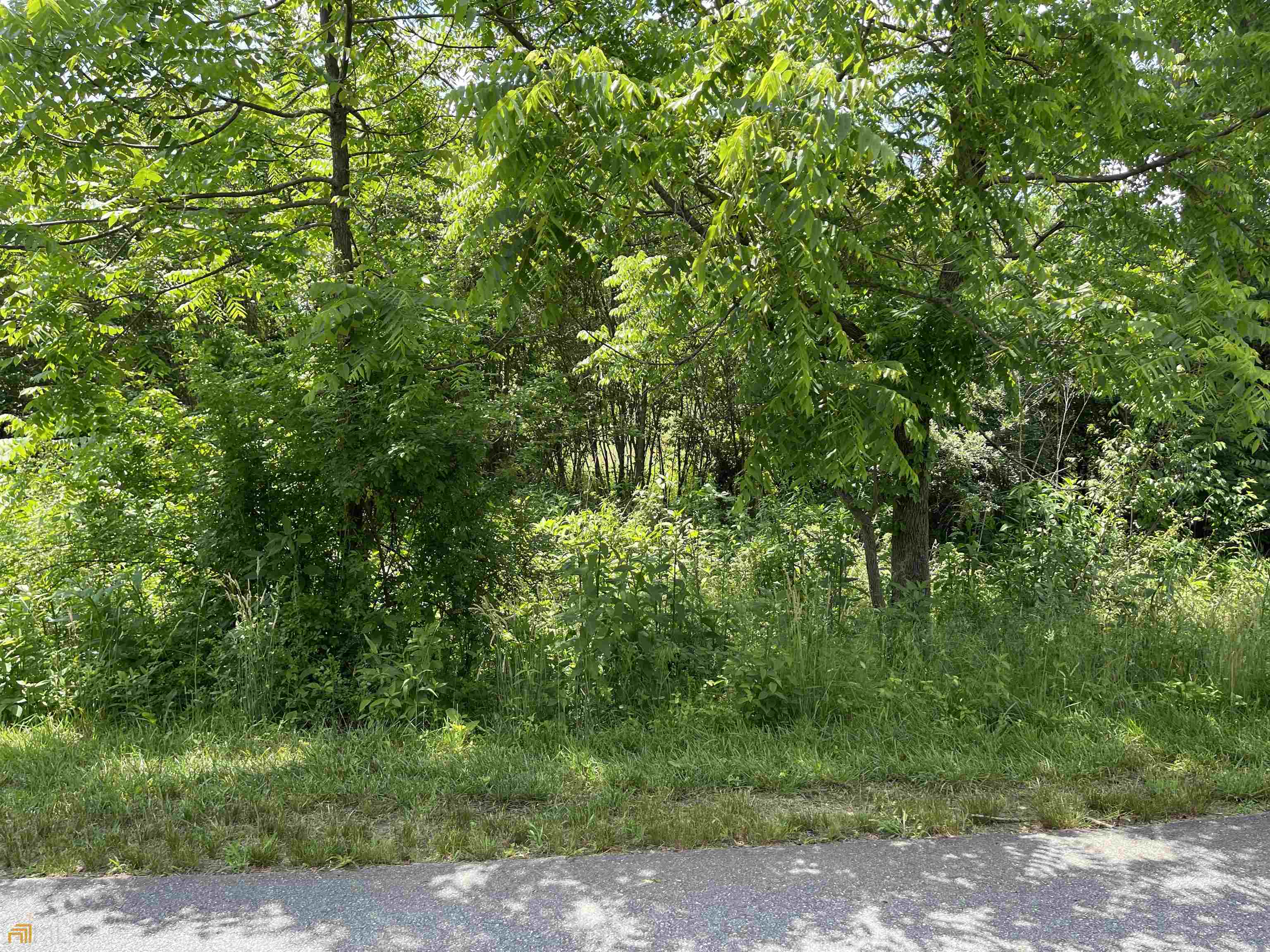14 B Saddle Ridge Farms Warne, NC 28909 - Photo 8 of 28 a view of a yard