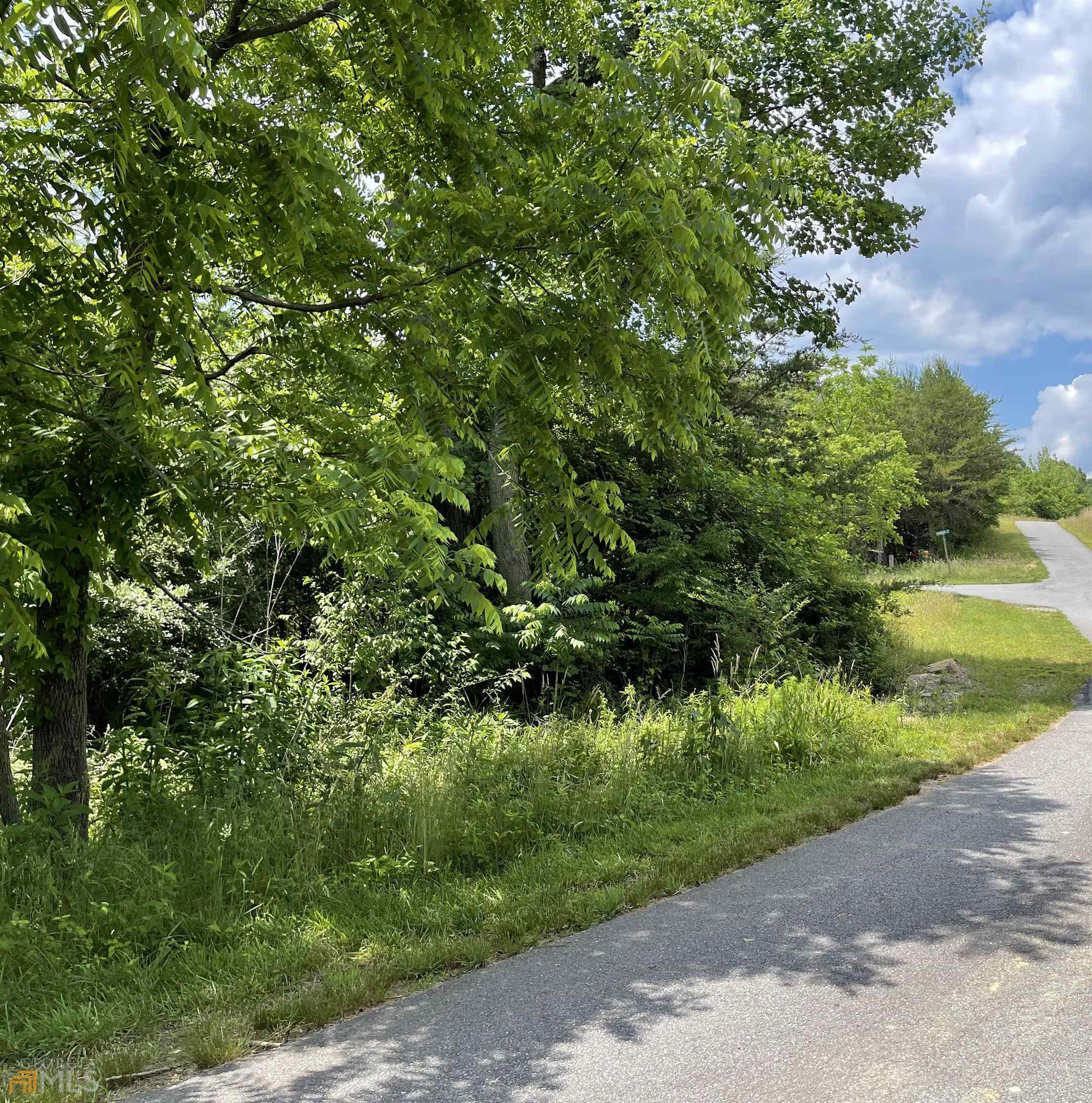14 B Saddle Ridge Farms Warne, NC 28909 - Photo 9 of 28 a view of a garden