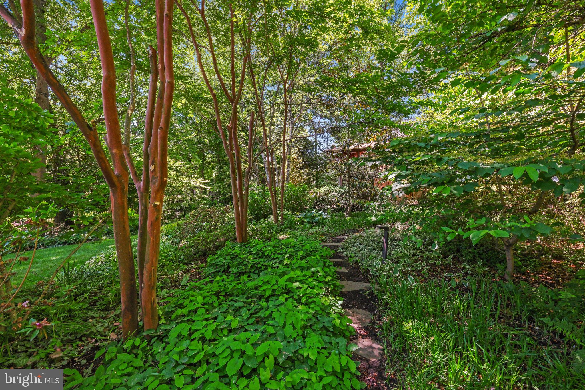 7908 Fenway Road Bethesda, MD 20817 - Photo 43 of 43 Exterior Yard