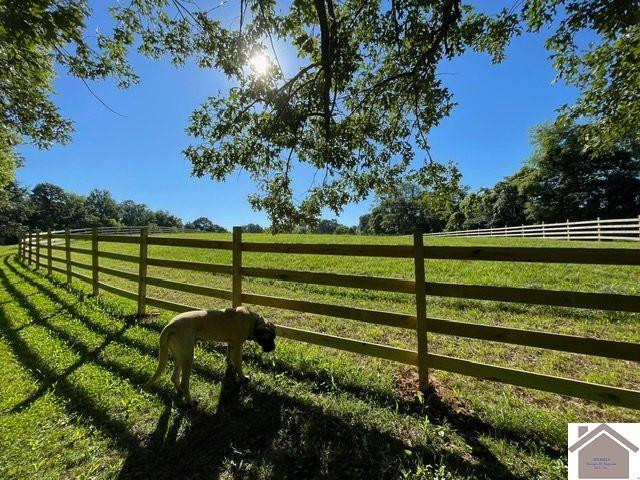 782 Bid Southern Road Tiline, KY 42083 - Photo 28 of 47 Photo 28
