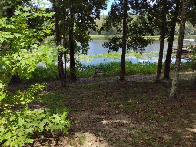 3111 Lakeview Point Road Quincy, FL 32351 - Photo 5 of 18 Gallery Image 5
