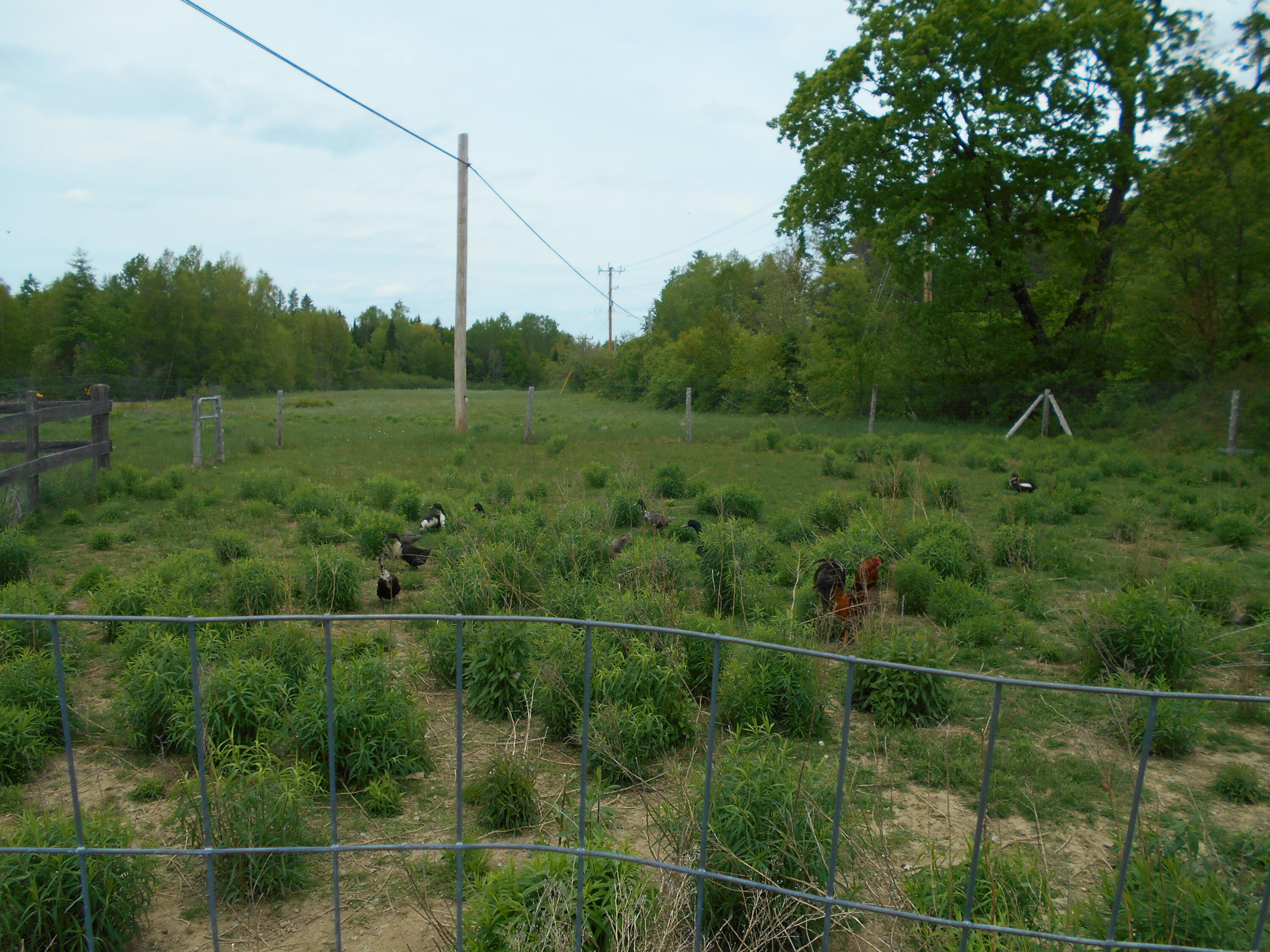 840 North Chester Road Lincoln, ME 04457 - Photo 24 of 68 DSCN7775