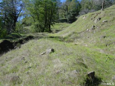 20295 Kelly Road Geyserville, CA 95441 - Photo 1 of 11 a view of a dry yard with trees