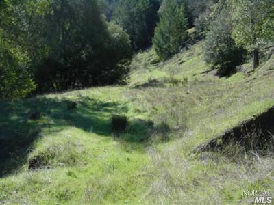 20295 Kelly Road Geyserville, CA 95441 - Photo 2 of 11 a view of a forest with a tree