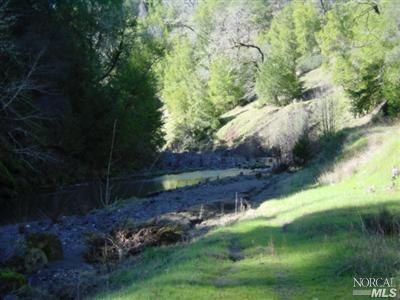 20295 Kelly Road Geyserville, CA 95441 - Photo 3 of 11 a view of a yard