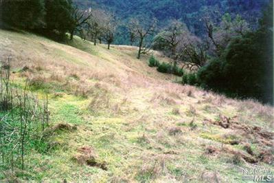 20295 Kelly Road Geyserville, CA 95441 - Photo 6 of 11 a view of a yard with a tree
