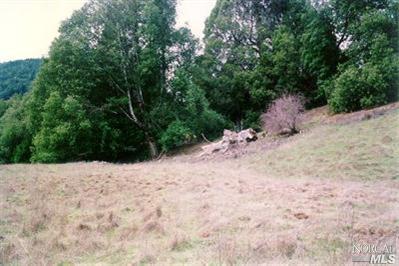 20295 Kelly Road Geyserville, CA 95441 - Photo 7 of 11