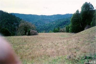 20295 Kelly Road Geyserville, CA 95441 - Photo 9 of 11 a view of outdoor space and mountain view