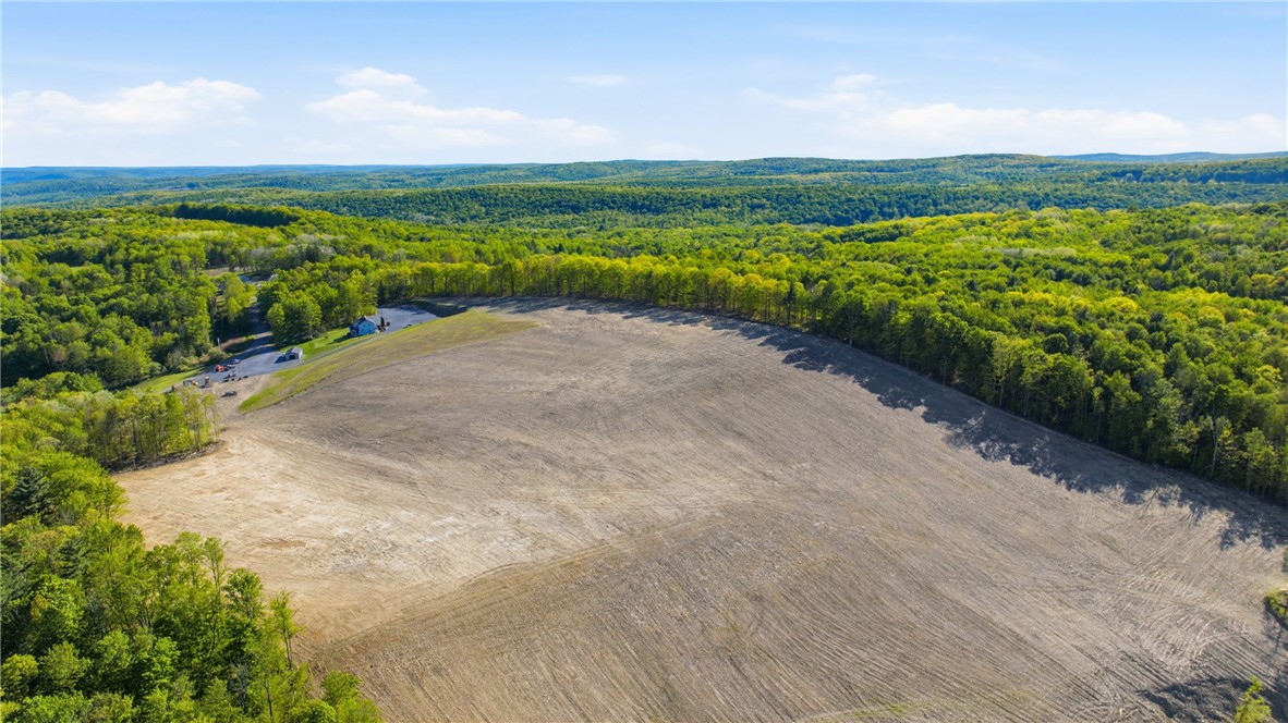 183 Dunn Road Catlin, NY 14845 - Photo 45 of 50