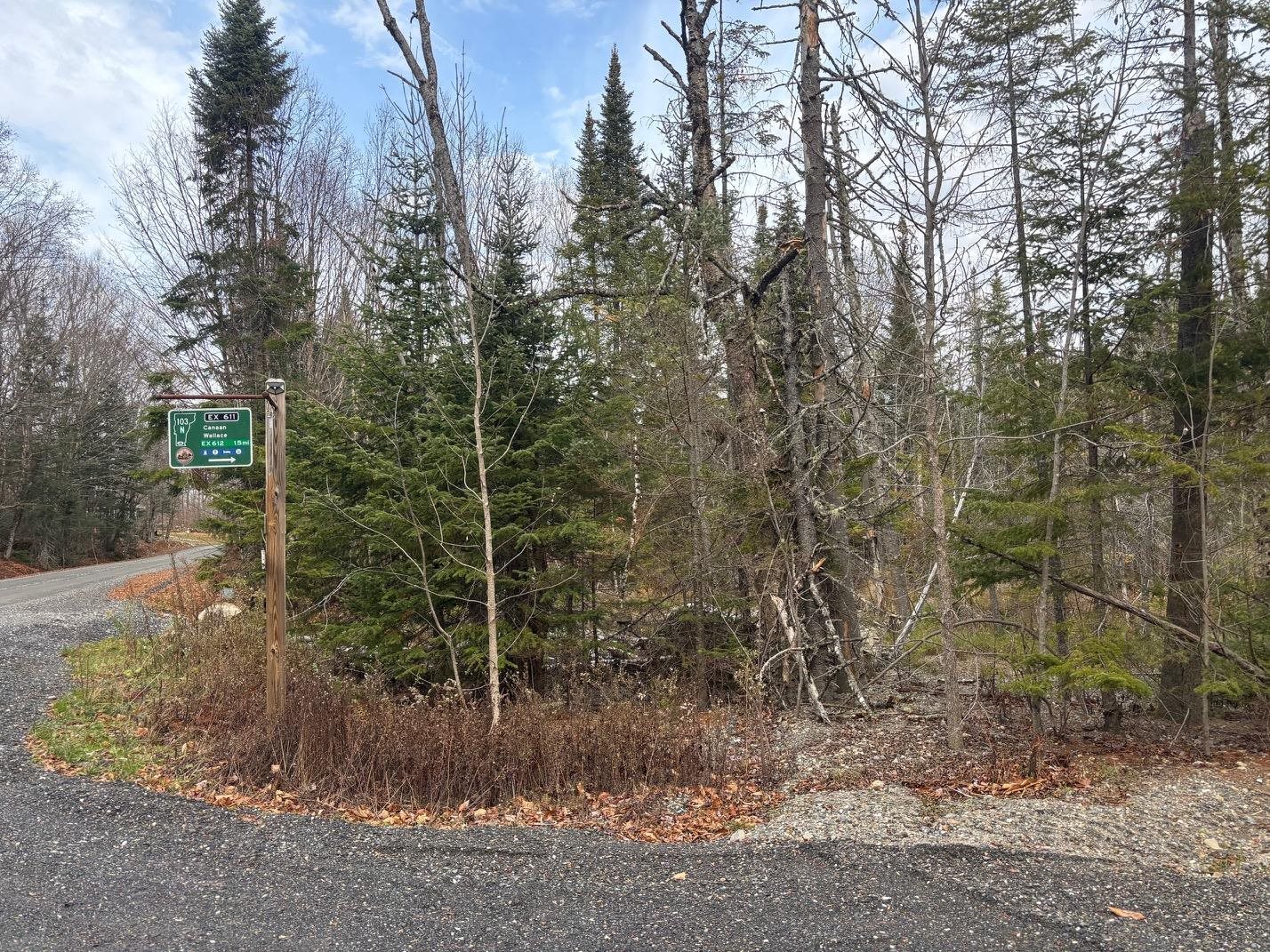Lot 2 Canaan Hill Road Averill, VT 05903 - Photo 17 of 22
