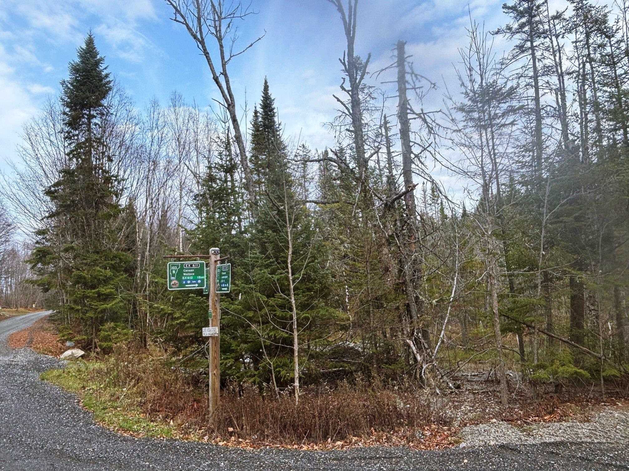 Lot 2 Canaan Hill Road Averill, VT 05903 - Photo 20 of 22