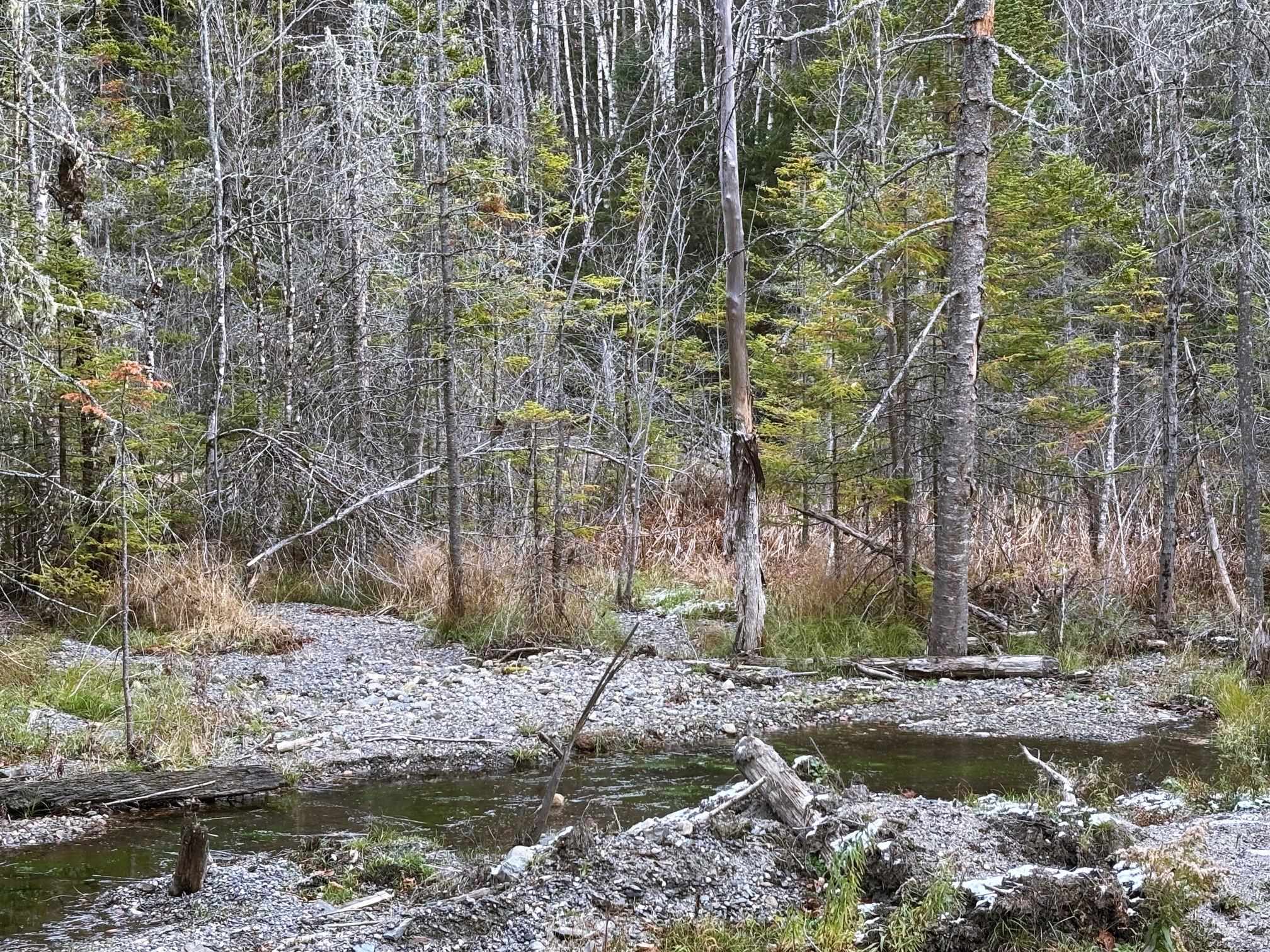 Lot 2 Canaan Hill Road Averill, VT 05903 - Photo 21 of 22
