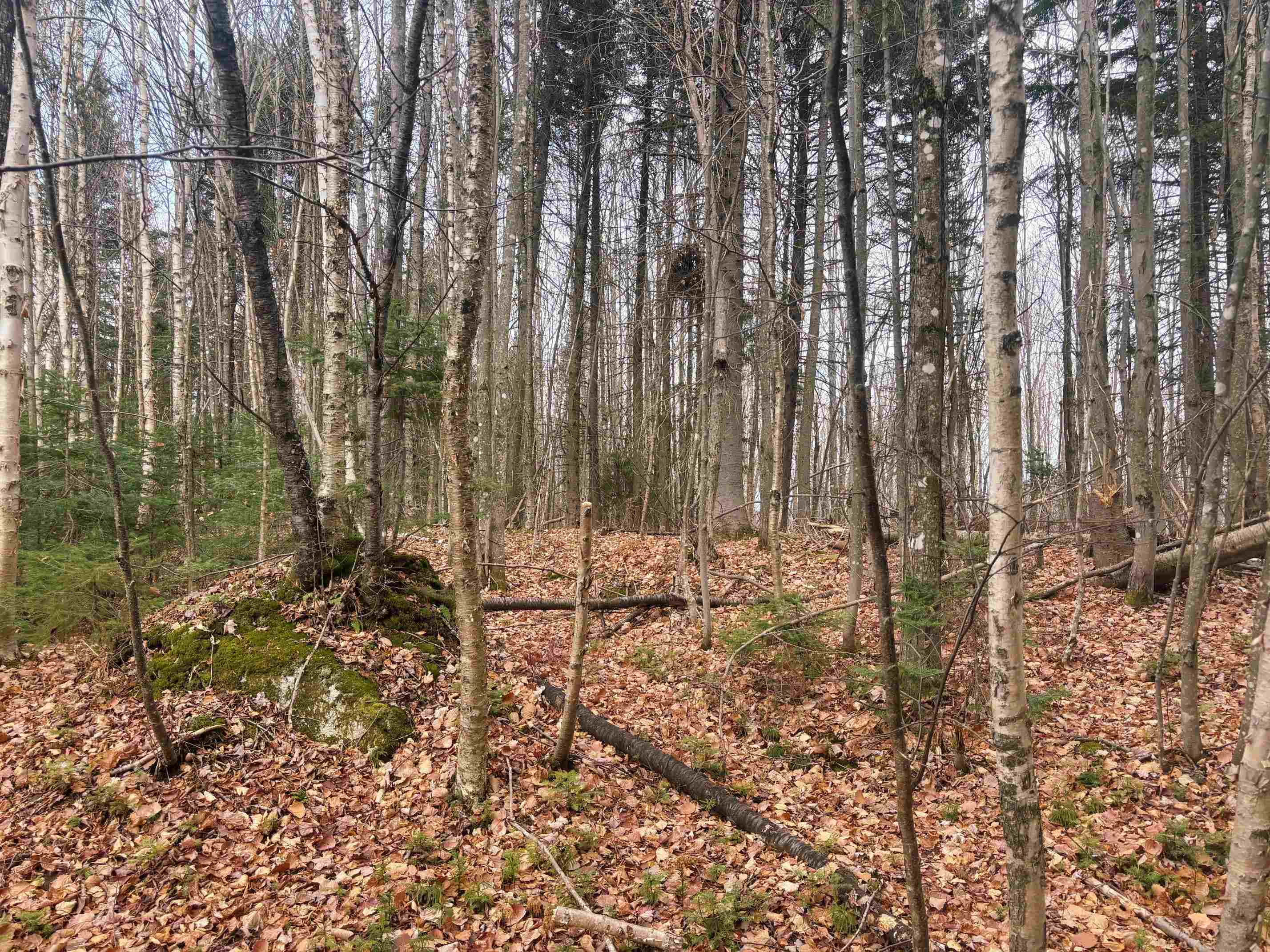 Lot 2 Canaan Hill Road Averill, VT 05903 - Photo 5 of 22
