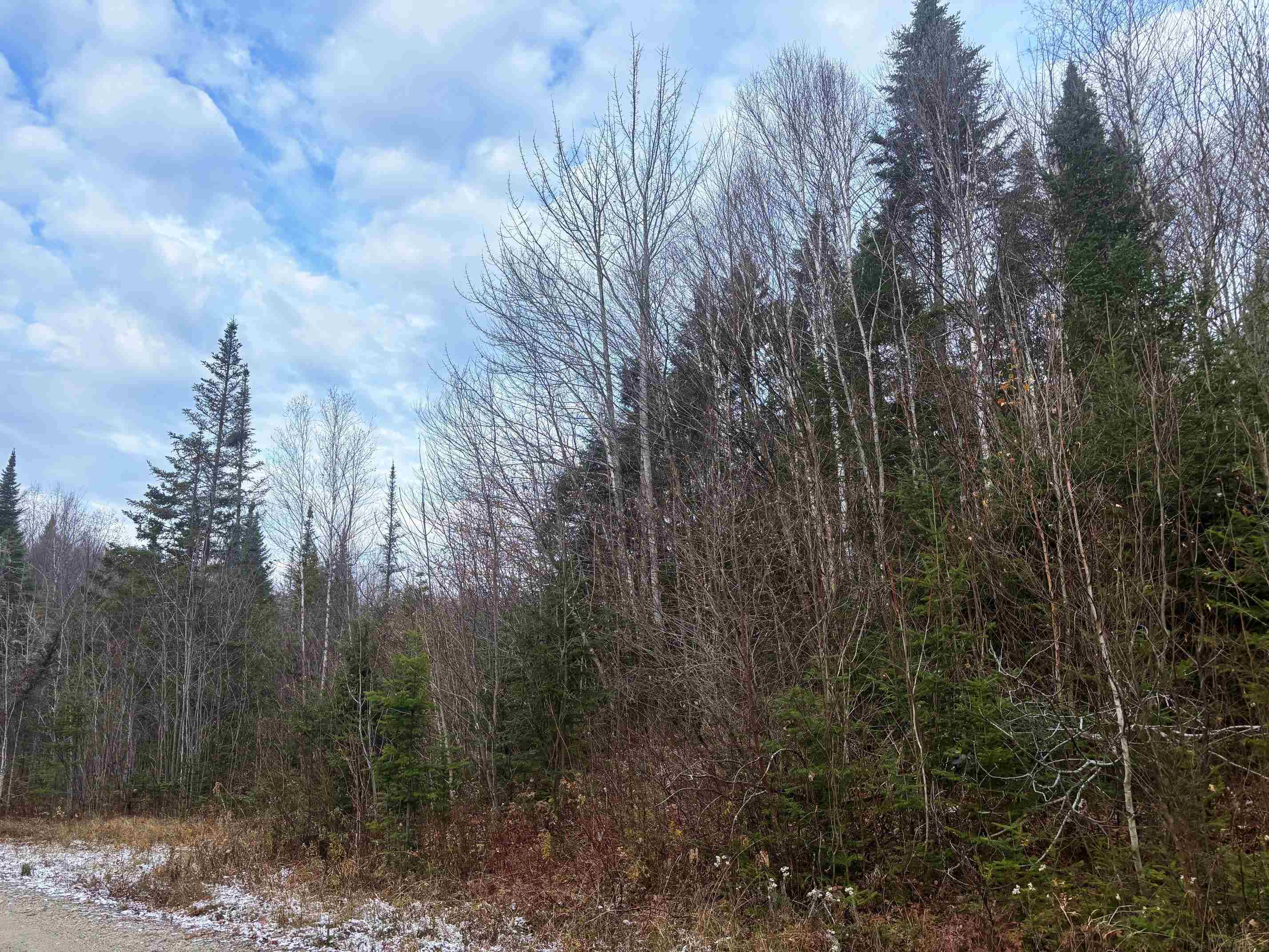 Lot 2 Canaan Hill Road Averill, VT 05903 - Photo 6 of 22