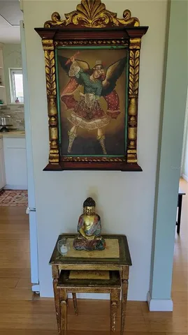 a view of entryway with wooden floor