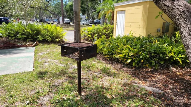 a view of a garden with plants