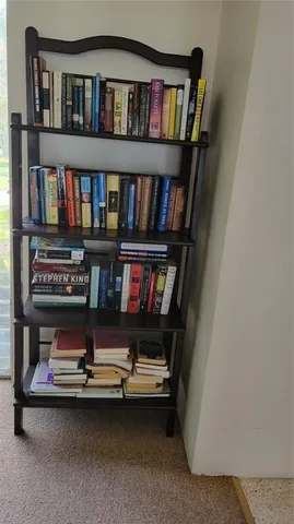 a view of room with window and book shelf