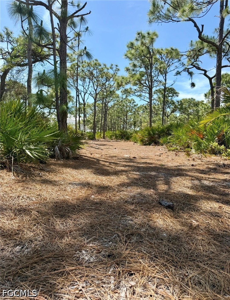 6690 Pineland Road Bokeelia, FL 33922 - Photo 10 of 11