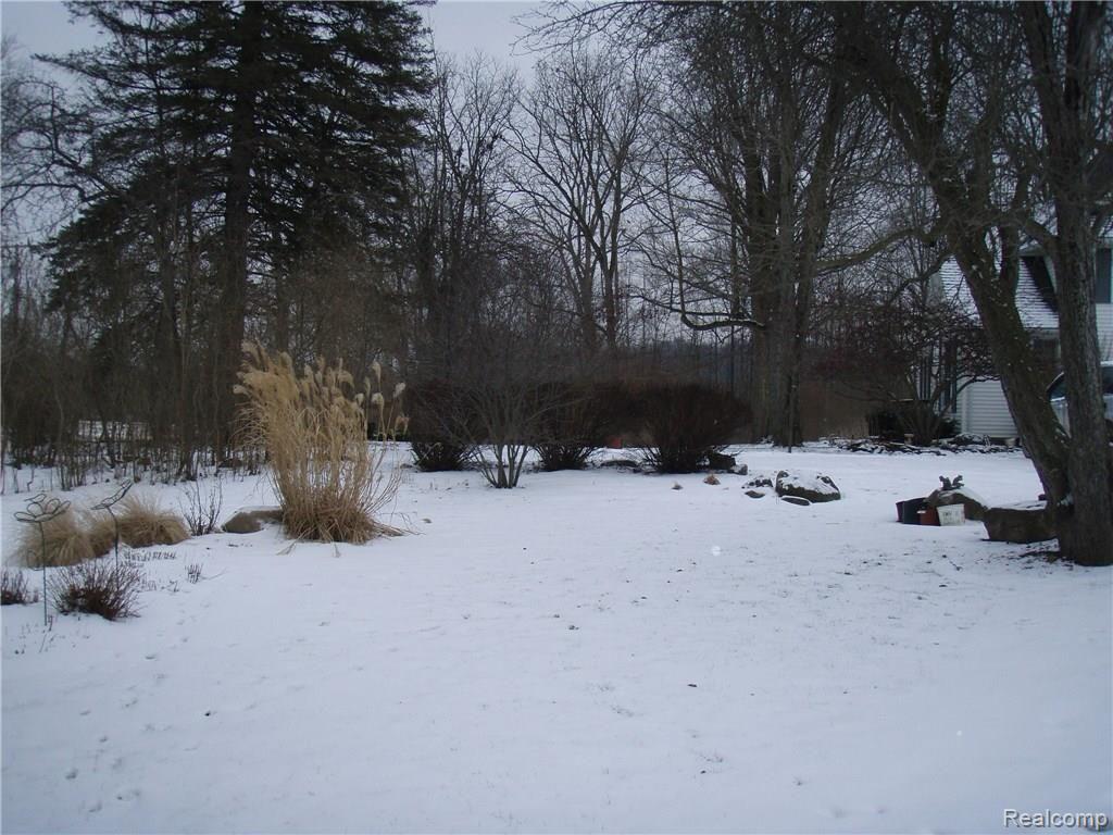 11754 Merrill Road Whitmore Lake, MI 48189 - Photo 13 of 42 73.JPG