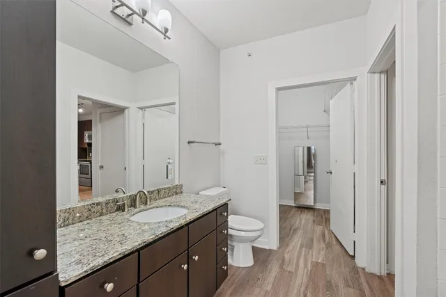 a bathroom with a granite countertop sink a toilet and a large mirror