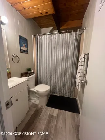 a bathroom with a sink a toilet a shower curtain and a large mirror