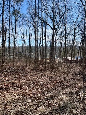$9,000 | Lot 131 Quail Lane, Dunlap, TN 37327