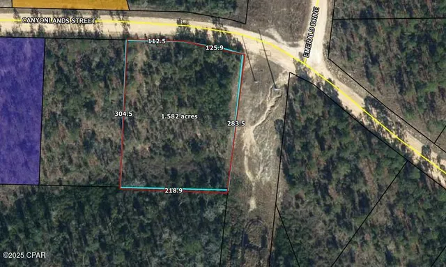$10,000 | Tbd Canyonland Street, Alford, FL 32420