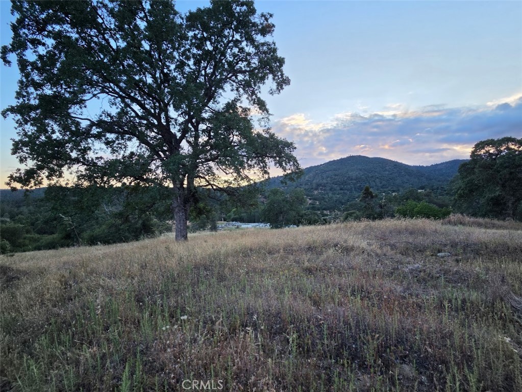 33555 Merrill Ranch Road O'Neals, CA 93645 - Photo 18 of 53