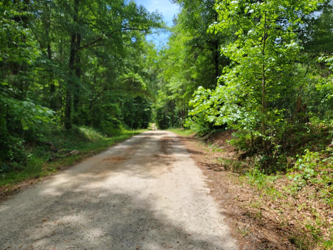 4887 West Quaker Road Keysville, GA 30816 - Photo 11 of 29 Driveway from the paved road