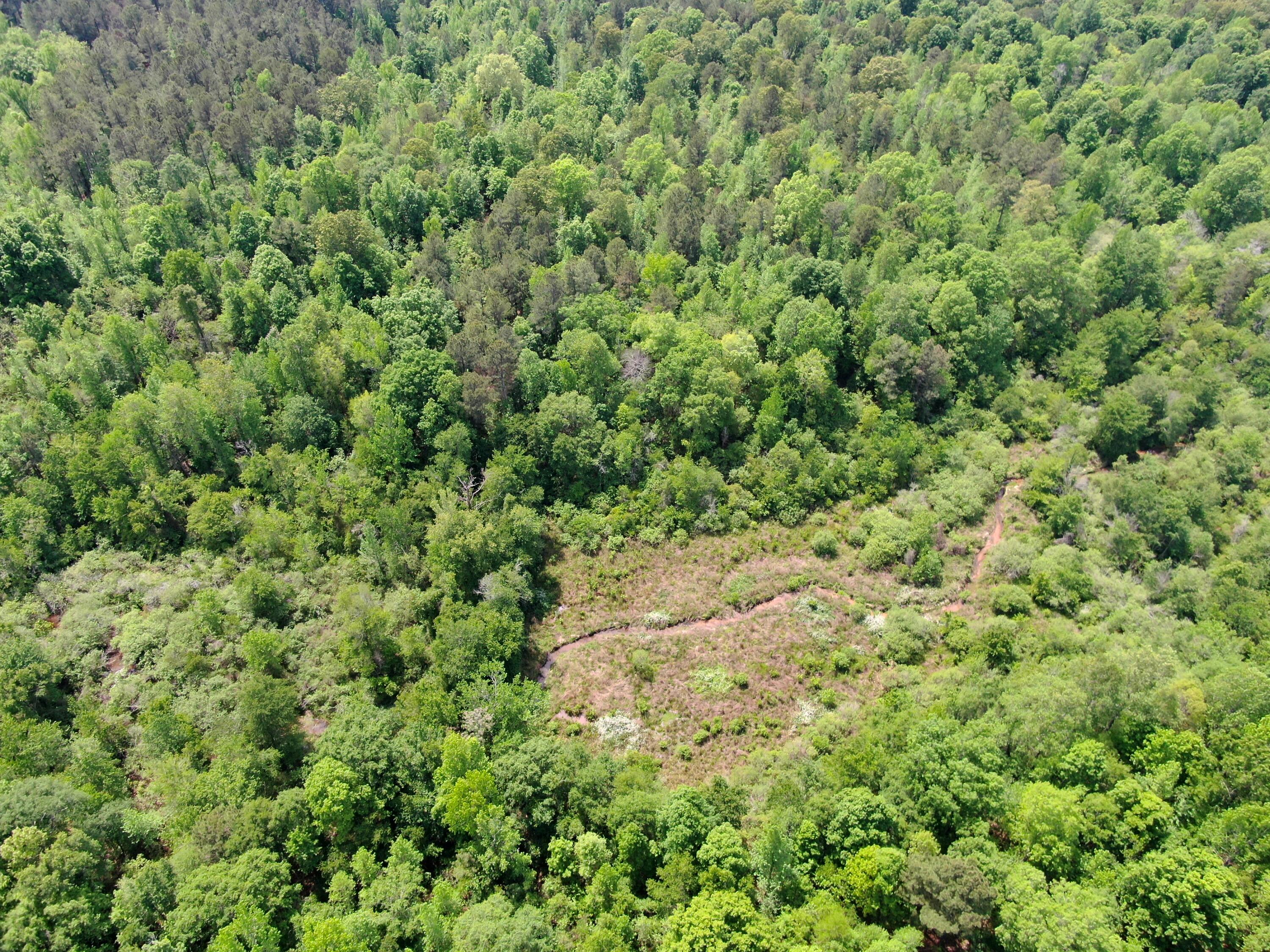 4887 West Quaker Road Keysville, GA 30816 - Photo 2 of 29 back of property