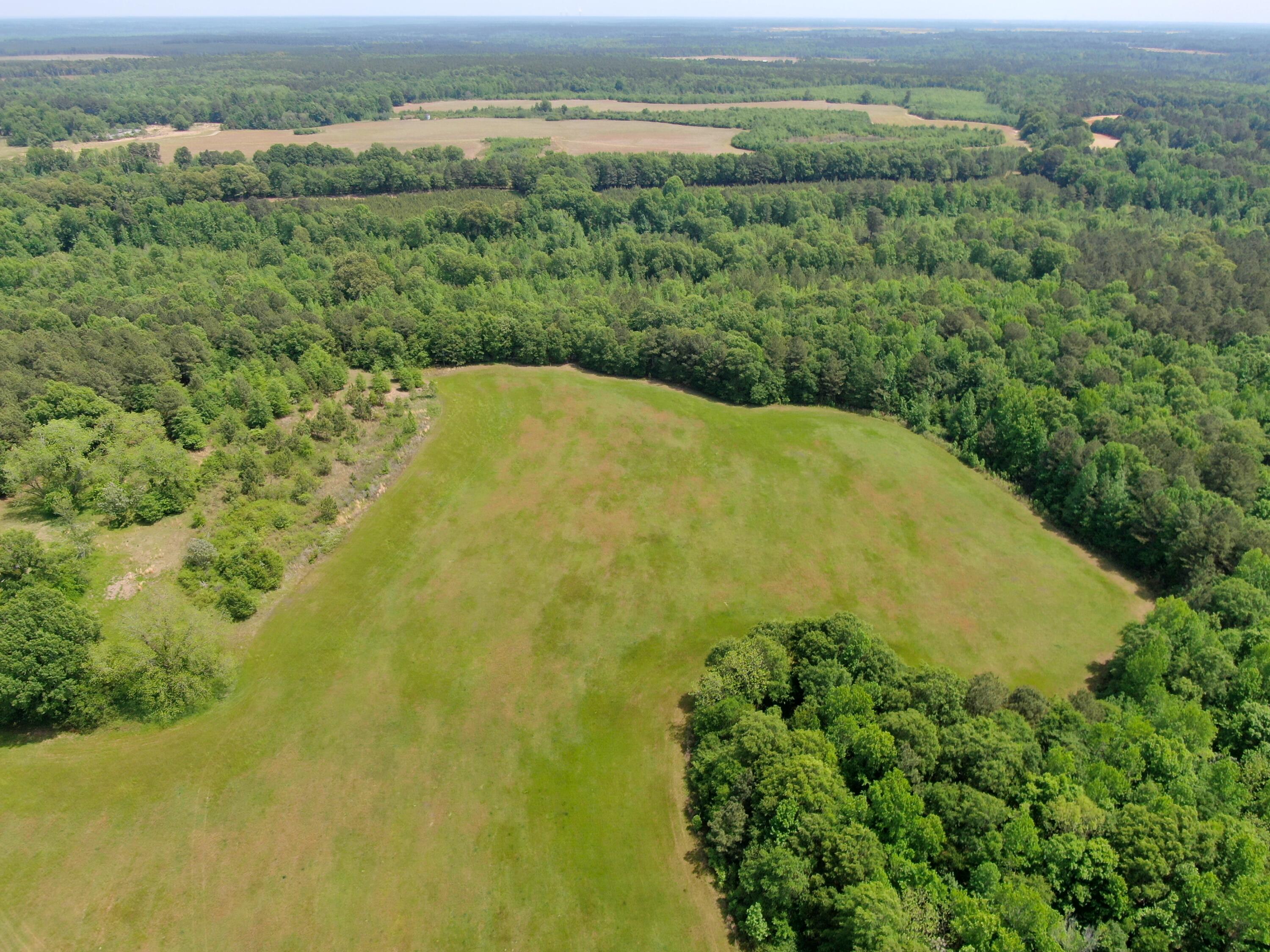 4887 West Quaker Road Keysville, GA 30816 - Photo 4 of 29 hay field #2