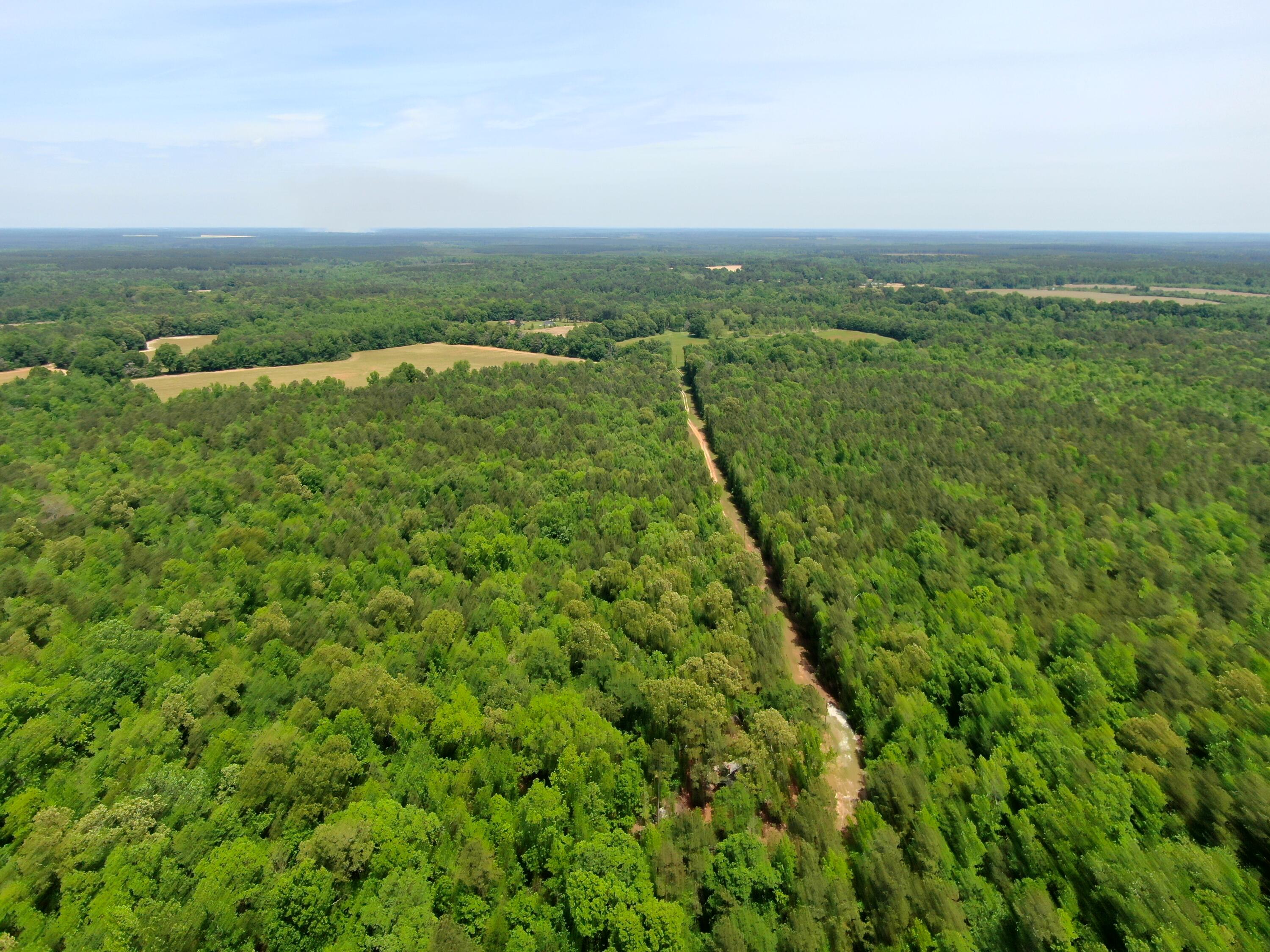 4887 West Quaker Road Keysville, GA 30816 - Photo 10 of 29 trees