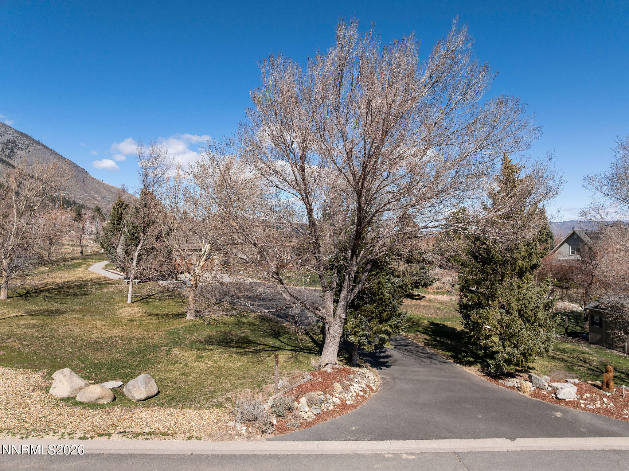 220 Limousin Court Genoa, NV 89411 - Photo 2 of 77 a view of a yard with large trees